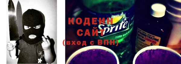 дживик Осинники
